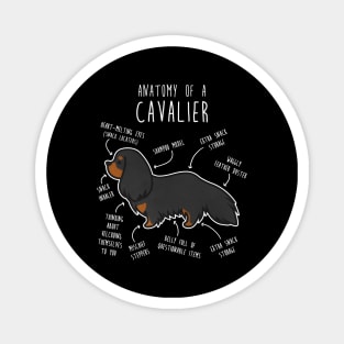 Cavalier King Charles Spaniel Dog Black and Tan Anatomy Magnet